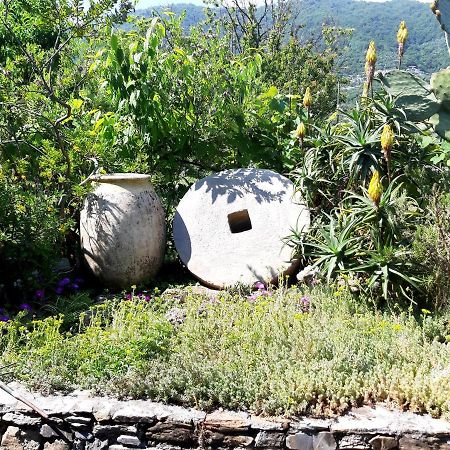 L'Antico Frantoio Villa Rapallo Bagian luar foto