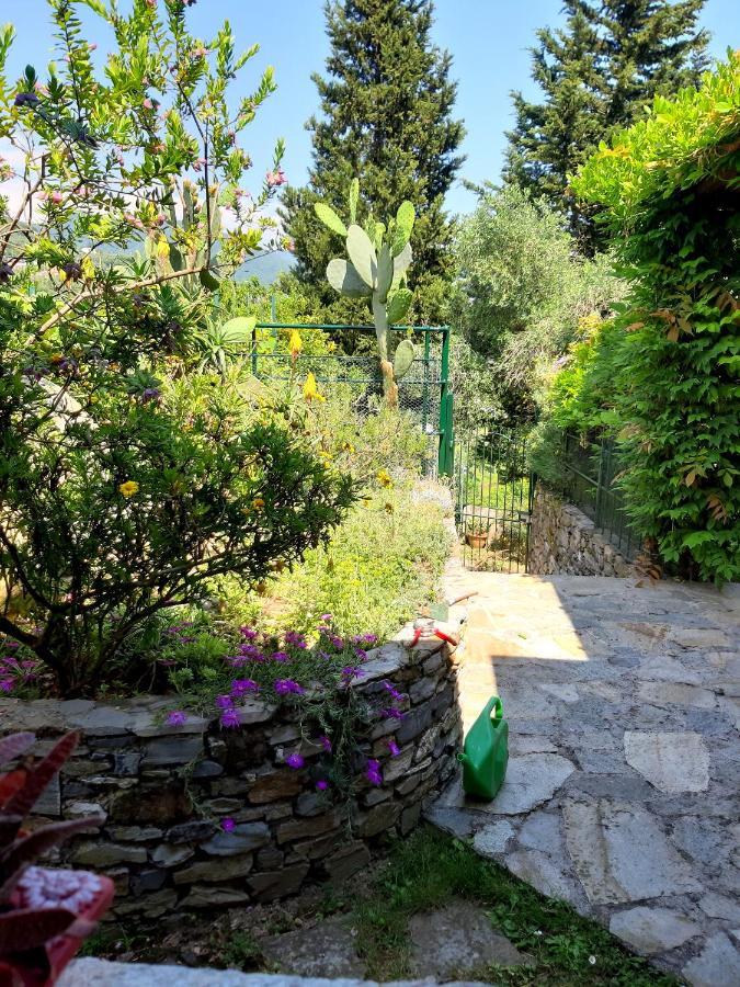 L'Antico Frantoio Villa Rapallo Bagian luar foto