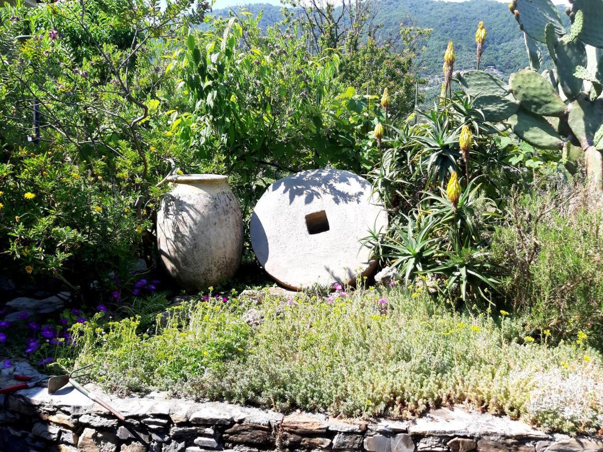 L'Antico Frantoio Villa Rapallo Bagian luar foto