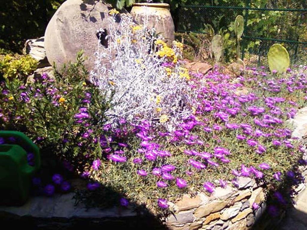 L'Antico Frantoio Villa Rapallo Bagian luar foto