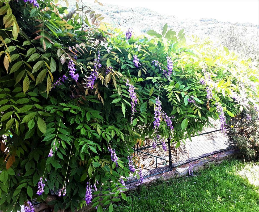 L'Antico Frantoio Villa Rapallo Bagian luar foto